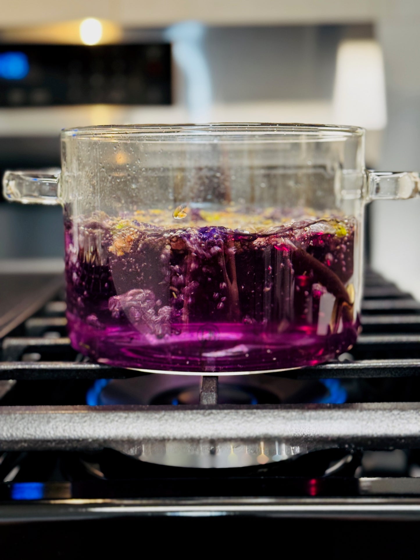Glass Simmer and Cooking Pot
