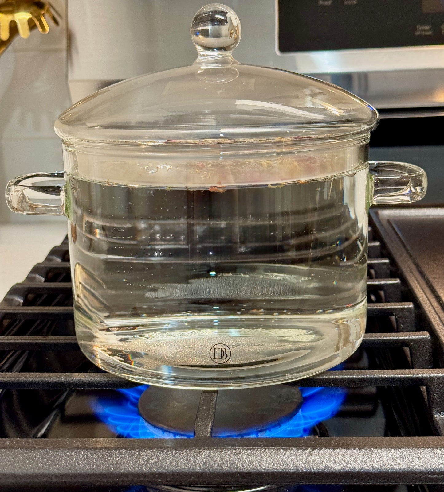 Glass Simmer and Cooking Pot